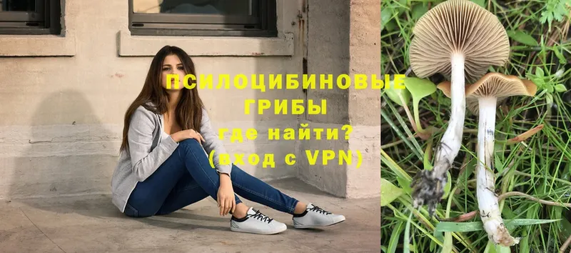 Купить наркотики сайты Давлеканово Галлюциногенные грибы  COCAIN  A PVP 